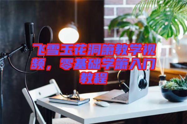 飛雪玉花洞簫教學視頻，零基礎學簫入門教程