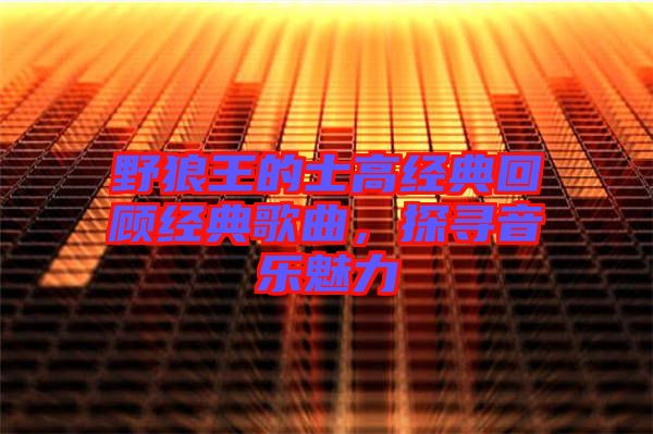 野狼王的士高經(jīng)典回顧經(jīng)典歌曲，探尋音樂魅力