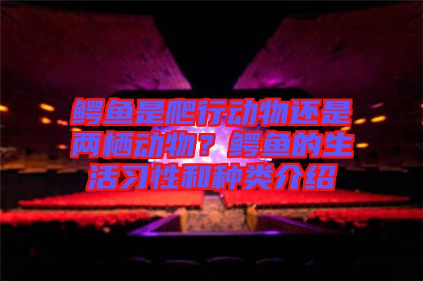 鱷魚是爬行動物還是兩棲動物？鱷魚的生活習性和種類介紹