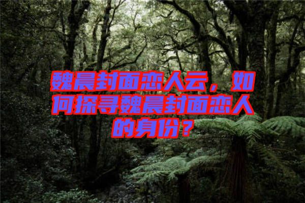 魏晨封面戀人云，如何探尋魏晨封面戀人的身份？