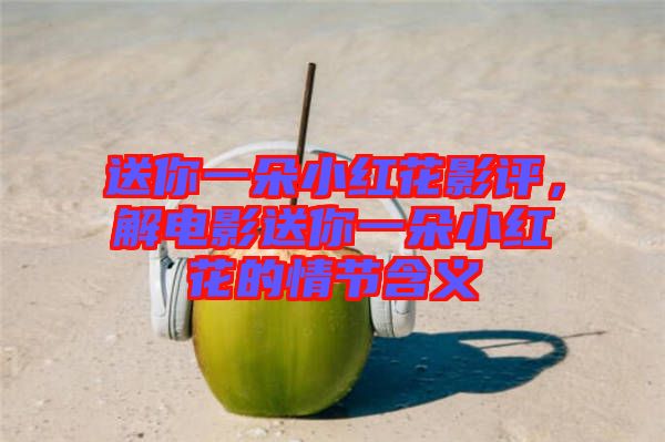 送你一朵小紅花影評，解電影送你一朵小紅花的情節含義