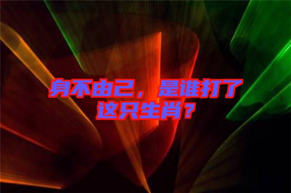 身不由己，是誰打了這只生肖？