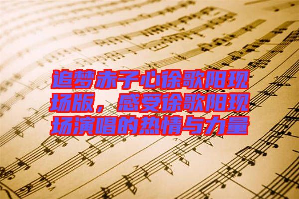 追夢赤子心徐歌陽現(xiàn)場版，感受徐歌陽現(xiàn)場演唱的熱情與力量